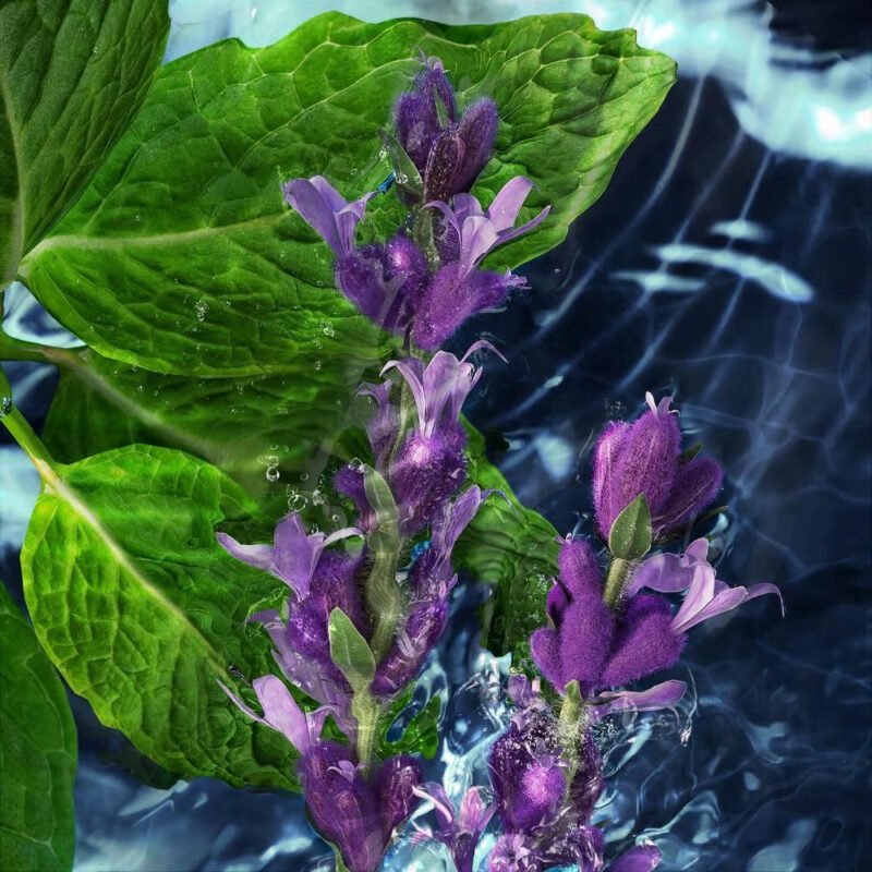 Davidoff Cool Water Men EDT